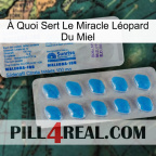 À Quoi Sert Le Miracle Léopard Du Miel new15